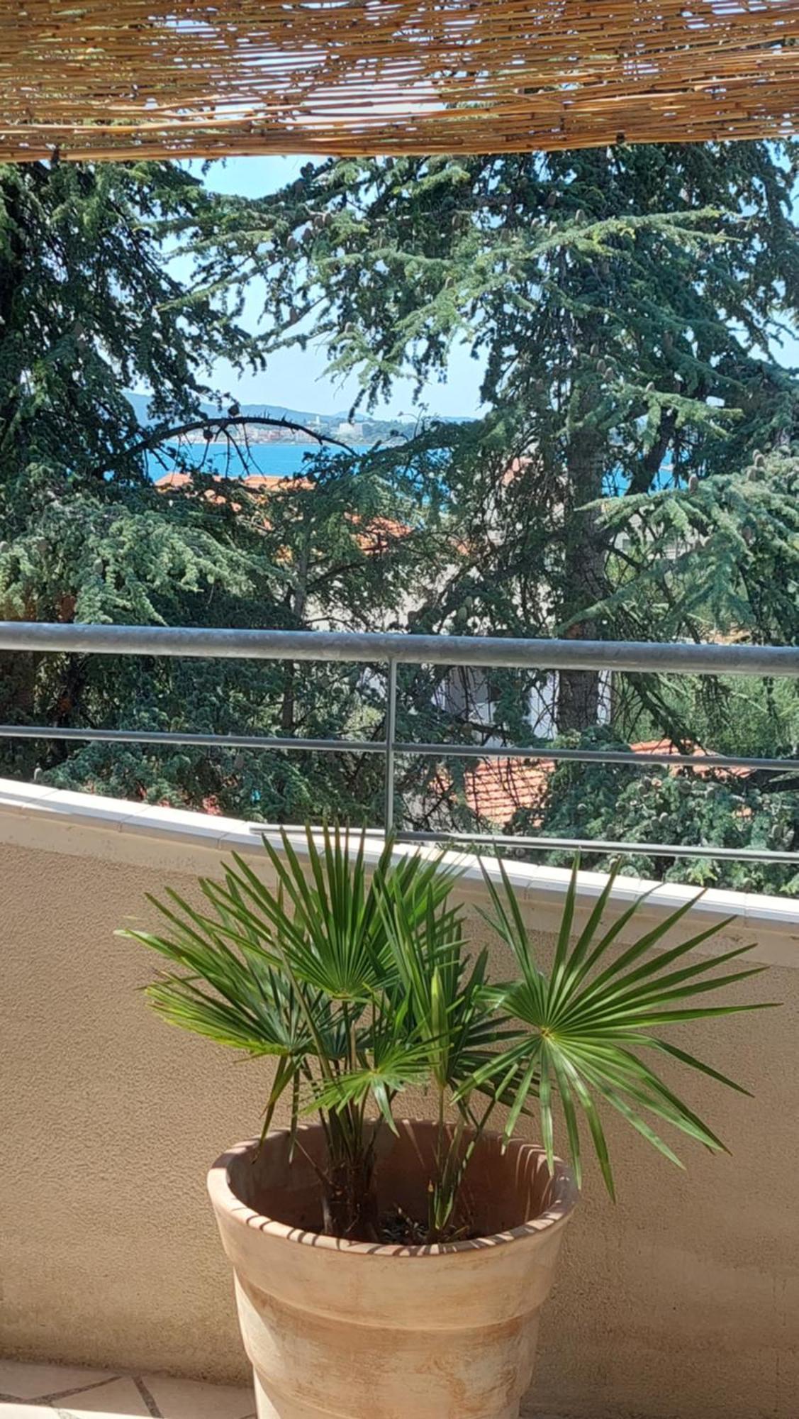 Apartments Lucija-Klara Brodarica  Pokój zdjęcie
